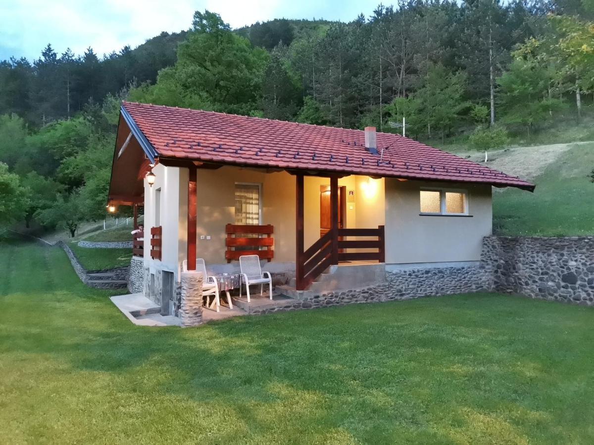 Vila Vikend Kuca Maksimovic Mataruska Banja Exteriér fotografie
